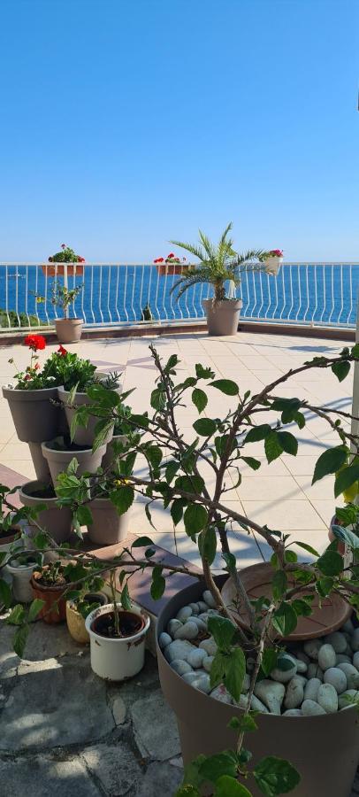 Apartments Matea Studio Apartment Stikovica Exterior photo